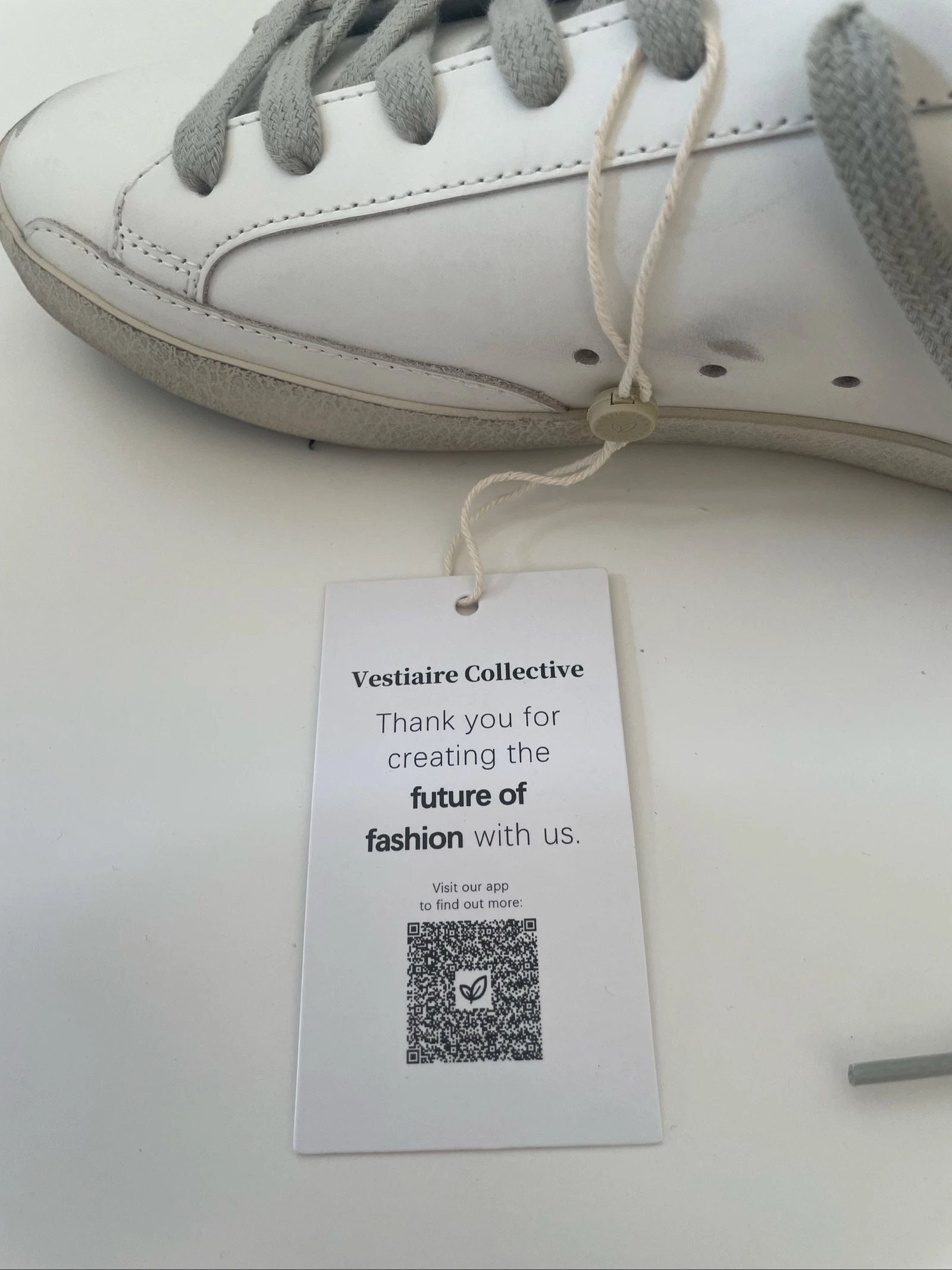 Golden goose – photo 12